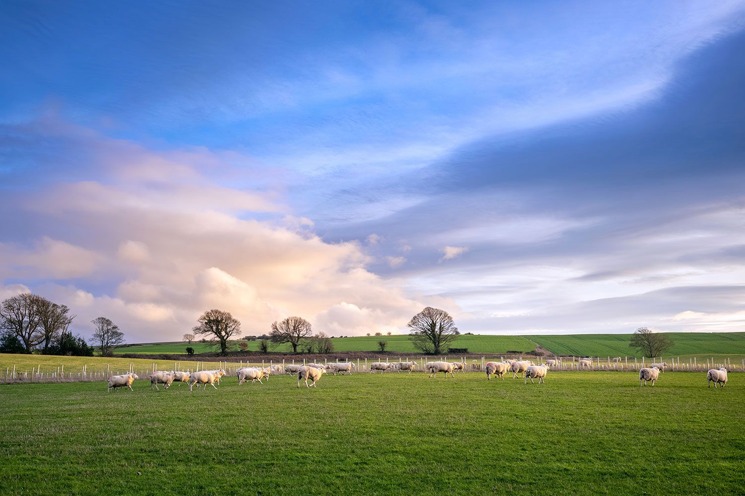 The Impact of the Autumn Budget on the Family Farm